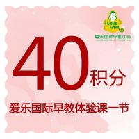 爱乐国际早教体验课（一节）