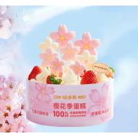 樱花季缤纷蛋糕