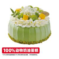 春野青岚开心果鲜果蛋糕