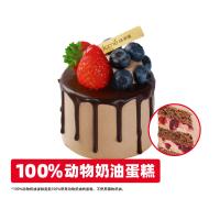 莓果巧克力瀑布蛋糕（mini)