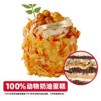 海盐焦糖榛子蛋糕(mini)